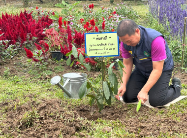 ลงพื้นที่ตรวจเยี่ยม ติดตามการดำเนินงานของนิคมสหกรณ์เชียงคำ พารามิเตอร์รูปภาพ 8